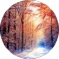 植发星yaolianggua