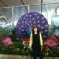 植发星大王丶路过mFo