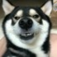 植发星妹子想被上Yc3