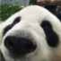 植发星圣战丶险