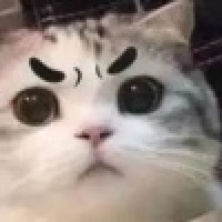 植发星小姐请接个爱_