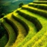 植发星你大爷GkRg