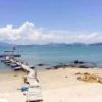 植发星夜小离1114