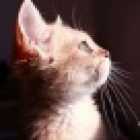 植发星孩子eHN56