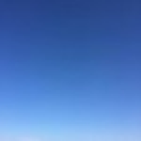 植发星小珊瑚噢