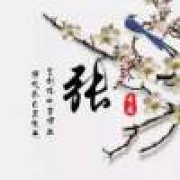 植发星妖精的口袋2004