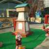 植发星哲哥哲哥