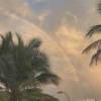 植发星zhong201410