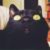 植发星噼里怕辣