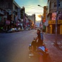 植发星太阳鸟1982