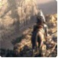 植发星孤傲〃16濲