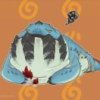 植发星小炒真心