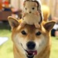 植发星信誉79132啃富