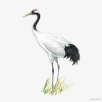 植发星再也不见的秦春