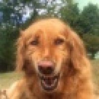 植发星Guardian_123