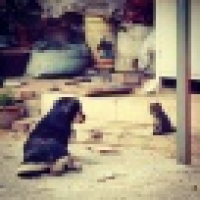 植发星咖啡〃TA7E