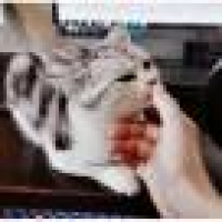 植发星嘎嘎80o濕奞