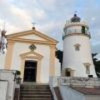 植发星幸运草687