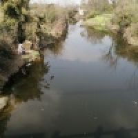 植发星小陈潨鲴JQw0