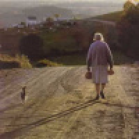 植发星大风大浪也不el