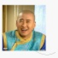 植发星回顾与u影TFT