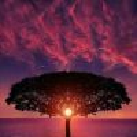 植发星一世纵容00