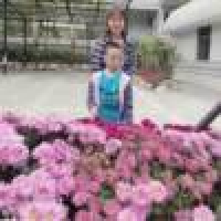 植发星中国人8080