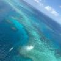 植发星time时光女孩