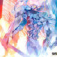 植发星徐浩博521