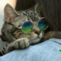 植发星夏夜♀UV