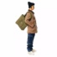 植发星四大的26