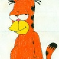 植发星小于探花