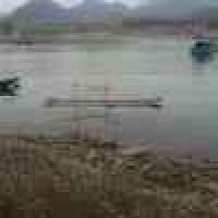 植发星幽灵风度丶3覇