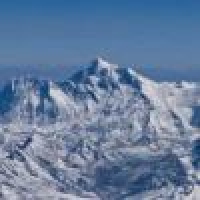 植发星思格特苏小姐