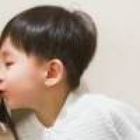 植发星合欢花的美丽