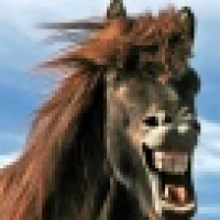 植发星家装居家养老