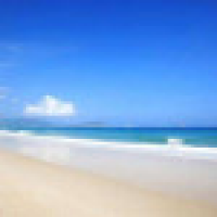 植发星多肉小姐