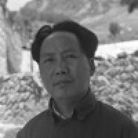 植发星志同道合curer