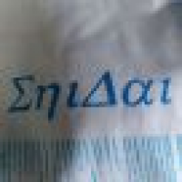 植发星宝宝军团125