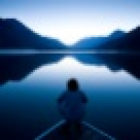 植发星叫我小小蚊子