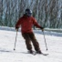 植发星想飞的鱼