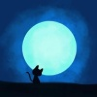 植发星总代Q658718_仏