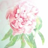 植发星吹壳子会打脑壳