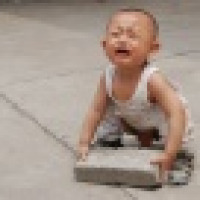 植发星其实一个人lei