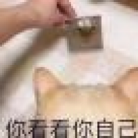 植发星愛麗絲De不快樂