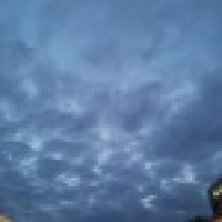 植发星吉永惰盲