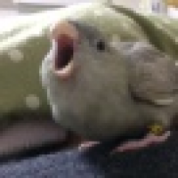 植发星宅吉品装饰