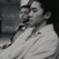 植发星土豆系列0340