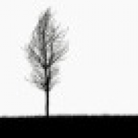 植发星天蓝flying