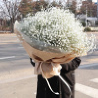 植发星小苹果呢是我